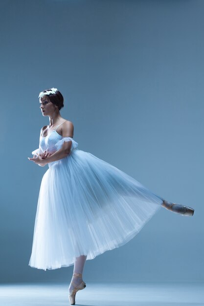 Porträt der Ballerina auf Blau