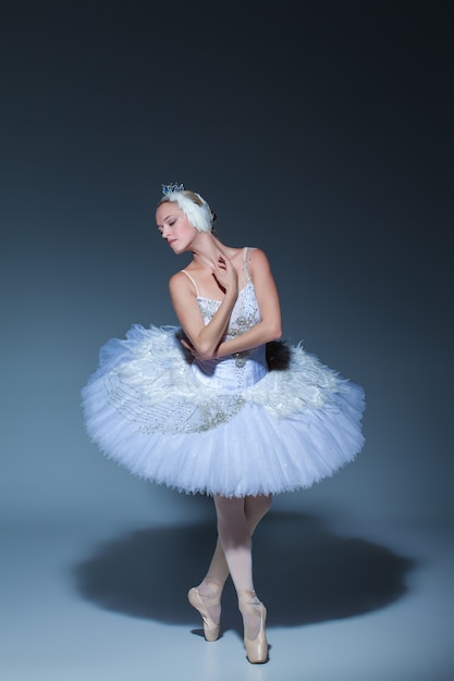 Porträt der Ballerina in der Rolle eines weißen Schwans auf blauem Hintergrund
