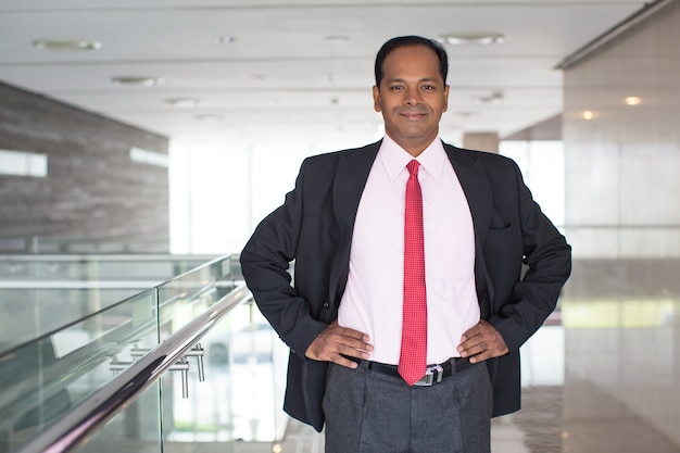 Porträt der lächelnden indischen Geschäftsmann im Büro