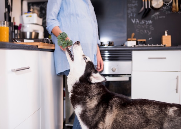 Kostenloses Foto porträt der modernen frau zu hause mit hund