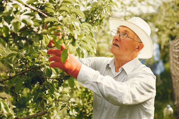 Porträt des älteren Mannes in einer Hutgartenarbeit