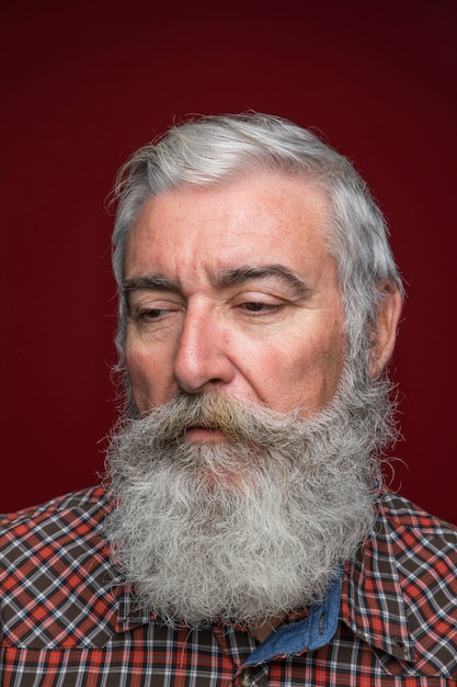 Porträt des älteren Mannes mit grauem bärtigem gegen dunklen farbigen Hintergrund