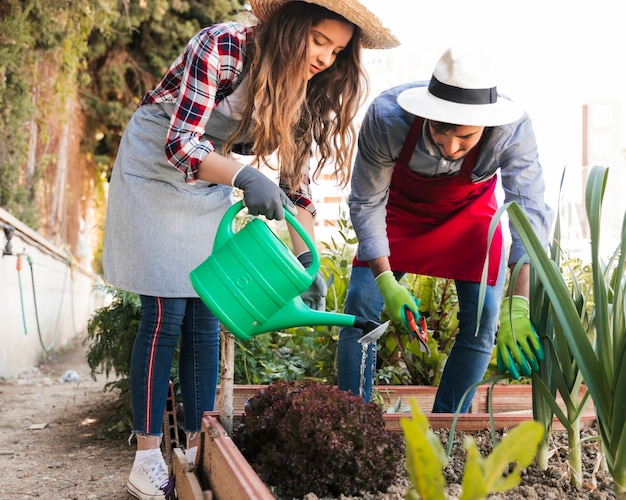 Kostenloses Foto porträt des männlichen und weiblichen gärtners, der die anlagen im garten wässert und trimmt