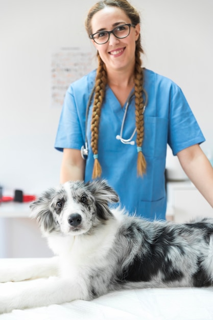 Porträt des weiblichen Tierarztes mit dem Hund, der auf Tabelle in der Klinik liegt