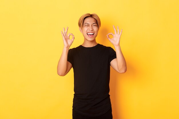 Porträt des zufriedenen und glücklichen asiatischen lächelnden Kerls, zeigt okay Geste in Zustimmung, zwinkert versichert, garantiert Qualität, gelbe Wand