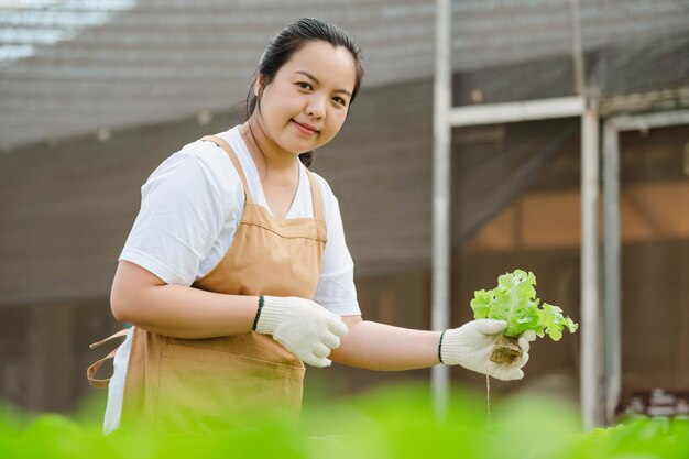 Porträt einer asiatischen Bäuerin, die Gemüse auf dem Feld betrachtet und die Erntequalität überprüft. Bio-Bauernhof-Konzept.