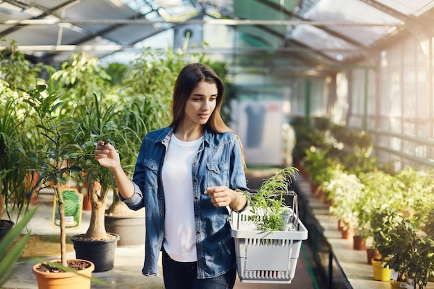 Porträt einer schönen jungen Frau in Jeans, die Pflanzen für ihr neues Strandhaus kauft