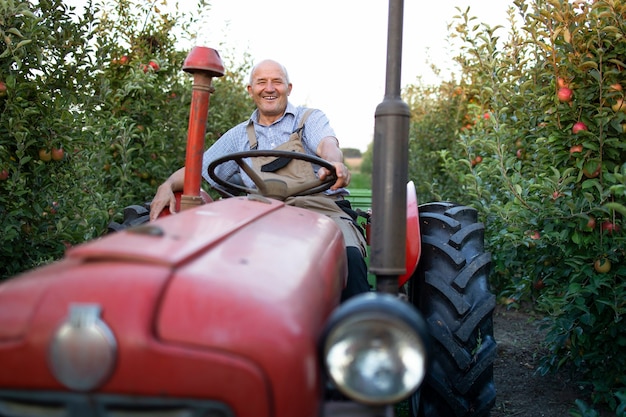 Porträt eines älteren Bauern, der seine alte Traktormaschine im Retro-Stil durch einen Apfelobstgarten fährt