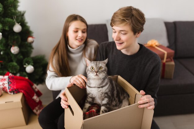 Porträt eines coolen jungen Paares und einer schönen Katze, die in einer Kiste mit Weihnachtsbaum im Hintergrund sitzt