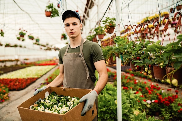 Porträt eines Gewächshausarbeiters, der eine Kiste mit Blumen trägt, die für die Verteilung vorbereitet wurden