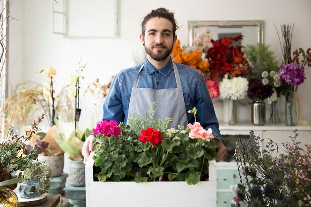 Porträt eines männlichen Floristen, der die bunte Hortensie hält, blüht in der Kiste