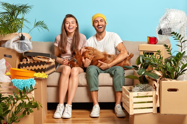 Positiv entzückte Frau und Mann spielen mit ihrem Lieblingshund, posieren auf dem Sofa