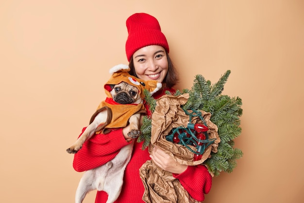 Positive junge asiatische Frau umarmt Pughund mit Liebe hält grüne Fichtenzweige und Girlandenlächeln trägt angenehm roten Hut und gestrickten Pullover isoliert über beigem Hintergrund. Neujahrszeit