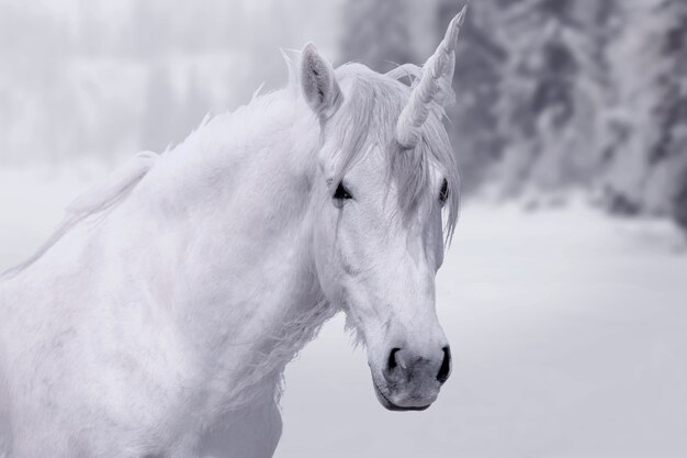 Prächtiges Einhorn in der Natur