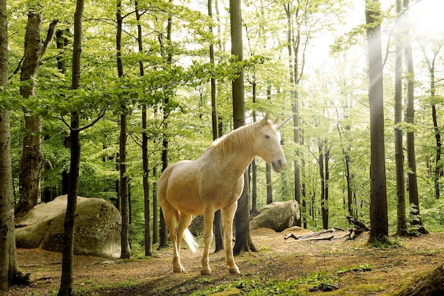 Prächtiges einhorn in der natur