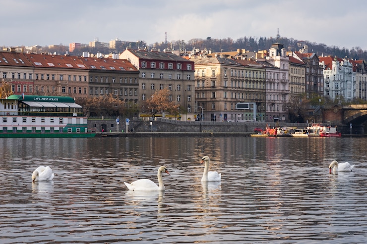 Kostenlose Foto prag