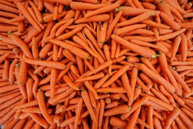 Premium frische Bio-Karotten