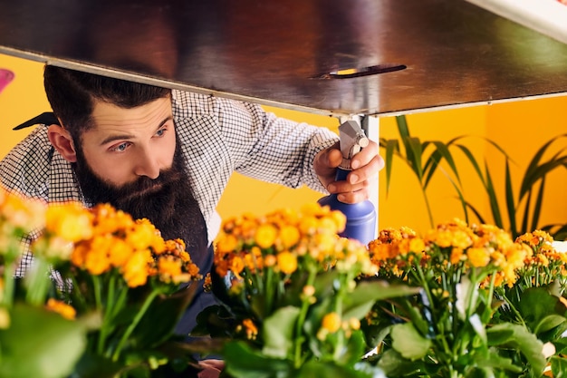 Professioneller männlicher Florist mit Bart und Tattoo auf der Hand, der eine Uniform trägt, die sich in einem modernen Blumenladen um Blumen kümmert.