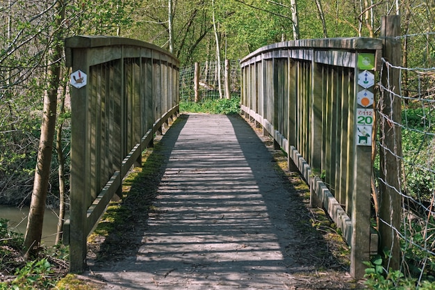 Kostenloses Foto promenade in einem park mit vielen schönen bäumen