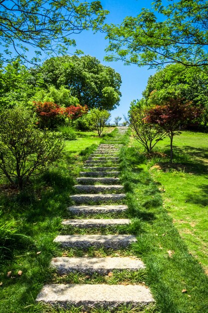 Promenade in einem wunderschönen Stadtpark