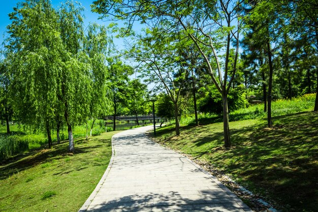 Promenade in einem wunderschönen Stadtpark