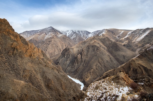 Przewalskis Pferdeporträt im magischen weichen Licht während der Winterzeit in der Mongolei