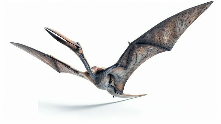 Kostenlose Foto pterodactylus in der natur