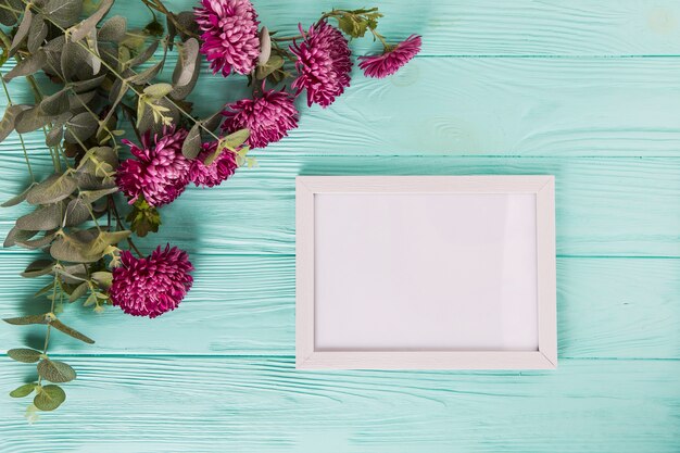 Purpurrote Blumen mit leerem Rahmen auf blauem Holztisch