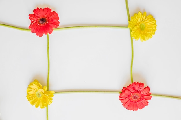 Rahmen aus hellen Gerbera