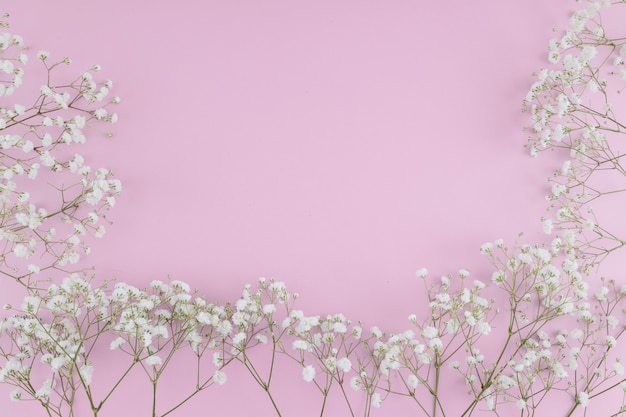 Kostenloses Foto rahmen der weißen blumen der draufsicht