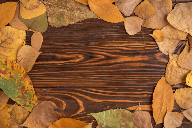 Rahmen Zusammensetzung der Herbst Laub