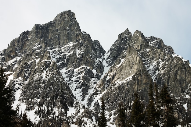 Range of Rocky Mountains mit Schnee bedeckt unter dem hellen Himmel