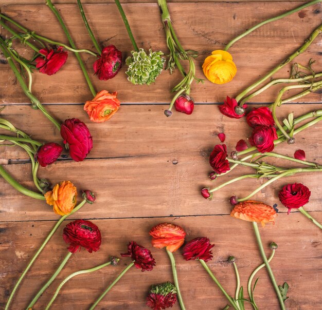 Ranunkulyus Strauß roter Blumen auf Holz