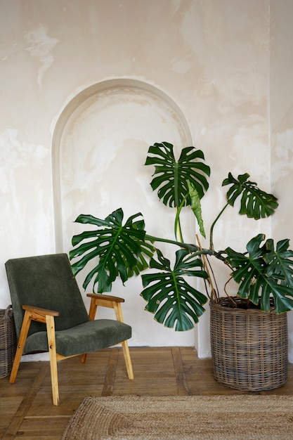 Raumdekoration mit eingetopfter Monstera-Pflanze