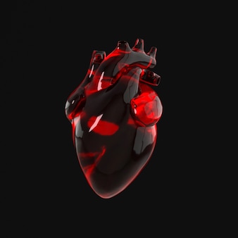 Realistisches menschliches herzorgan mit arterien und aorta-rendering Premium Fotos