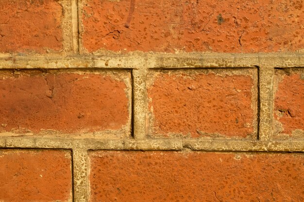 Red Brick Textur