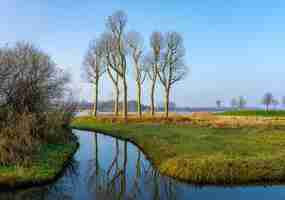 Kostenloses Foto reflexion von 6 bäumen in der nähe des polder bei utrecht (nl) im landschaftsmodus