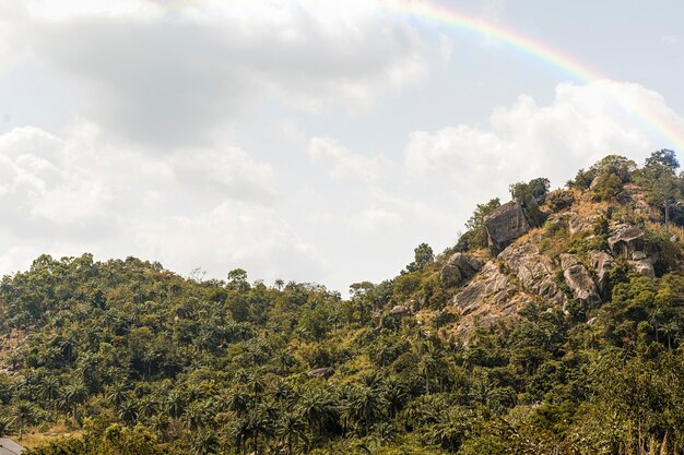 Regenbogen am Himmel mit Naturlandschaft