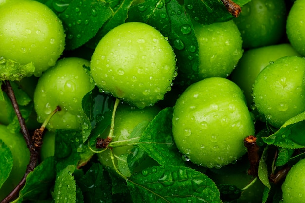 Kostenloses Foto regengrüne pflaumen mit grünen blättern nahaufnahme