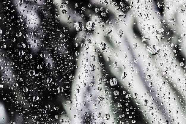 Regentropfen auf weißem und schwarzem Hintergrund