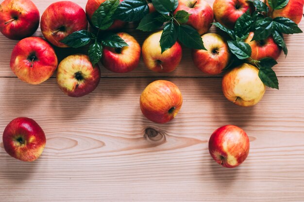 Kostenloses Foto reife äpfel mit blättern
