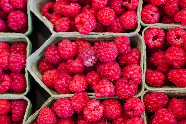 Reife und süße Himbeeren in der Vitrine