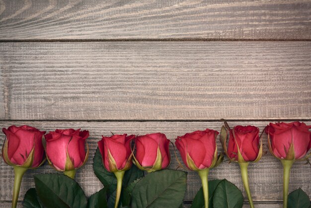 Reihe rot geschnittener Rosen