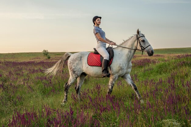 Reiterin Jockey in einheitlichem Reitpferd im Freien. Sonnenuntergang. Reiten. Wettbewerb. Hobby