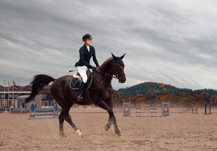 Pferde-Reiten