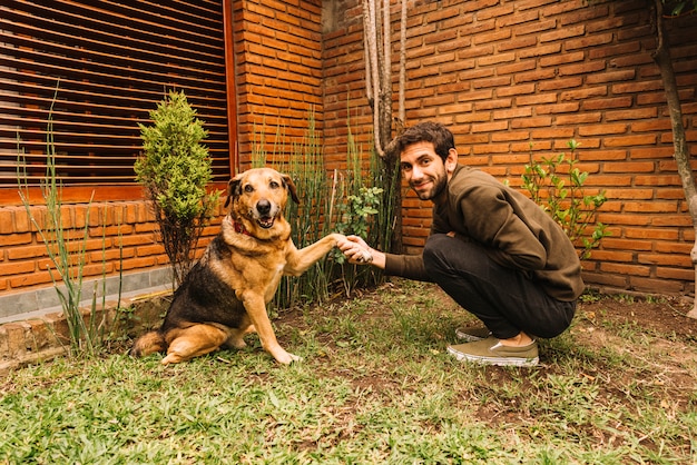 Reizender Hund, der im Garten aufwirft