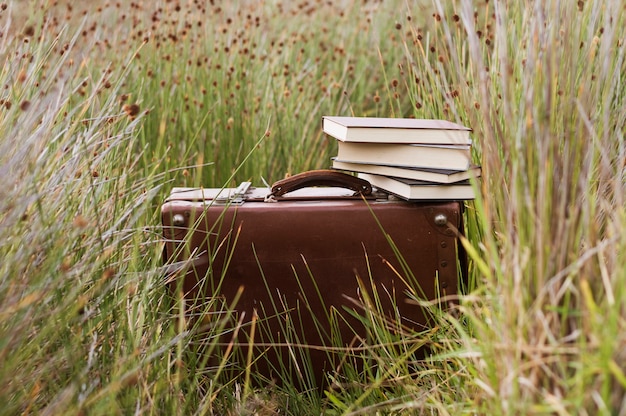 Retro Koffer mit Büchern oben im Gras