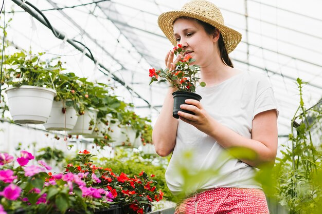 Riechende Blumen der Frau am Gewächshaus