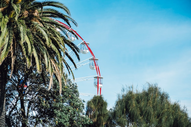 Riesenrad und Baum