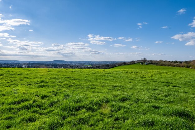 Riesiges grünes Tal mit einem blauen Himmel während des Tages